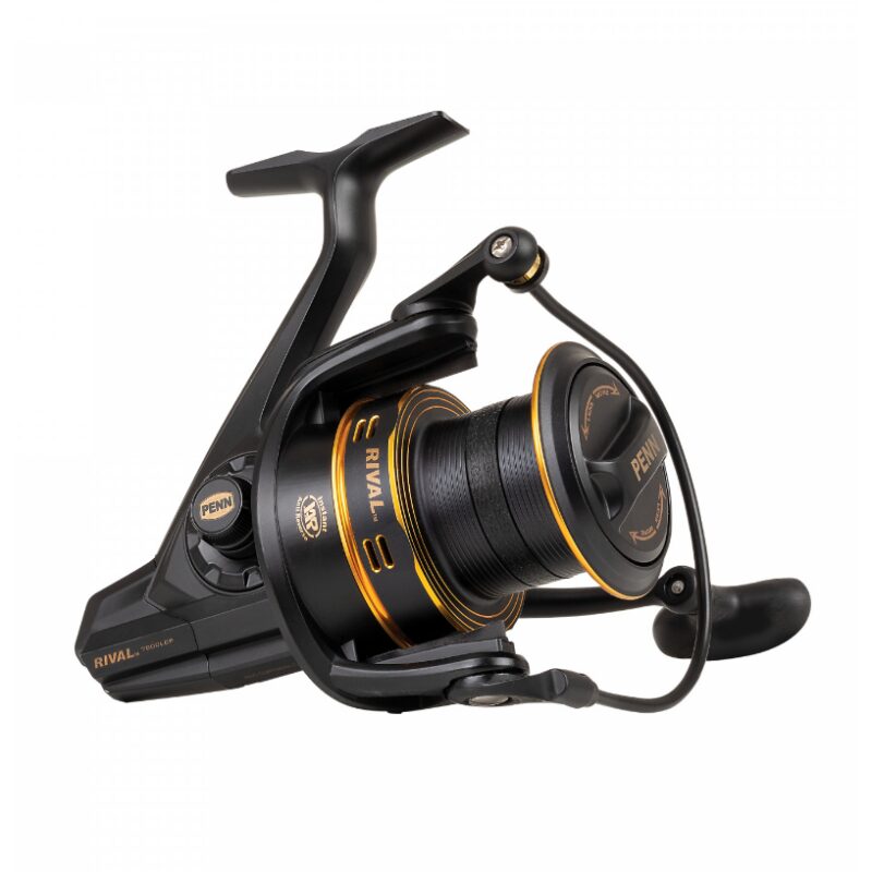 Penn Rival Gold 8000