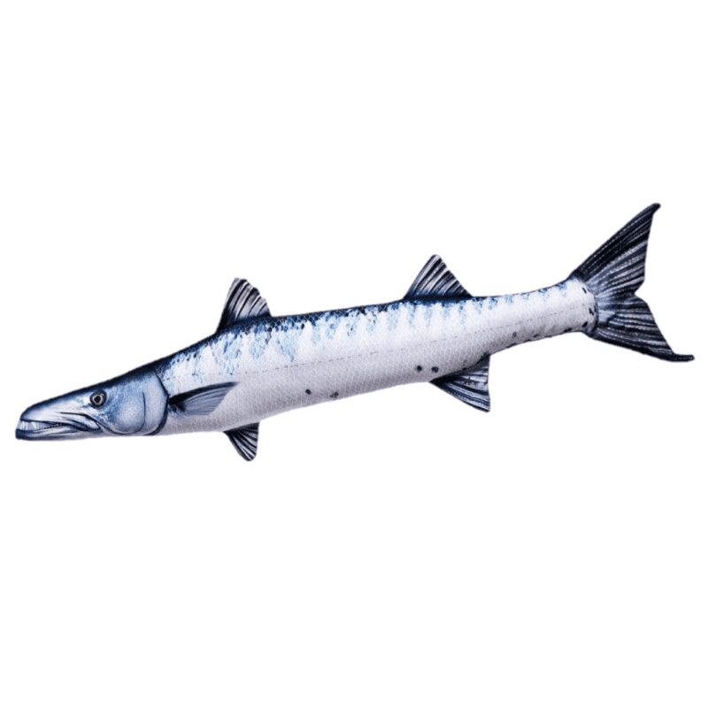Gaby gigant barracuda