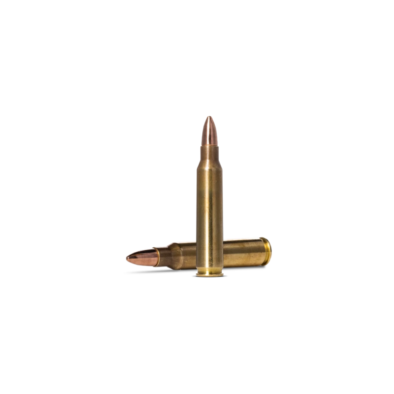 Norma Range and Training 223Rem 3,56g/55gr