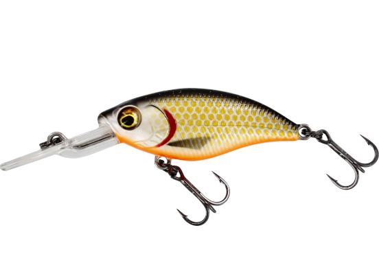 Westin Buzzbite Crankbite 4CM 4G L F Official Roach