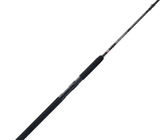 Penn Squadron IV Inshore Spin 10" 20-60G