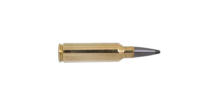 Norma Odin 300WSM 11,7G 180gr